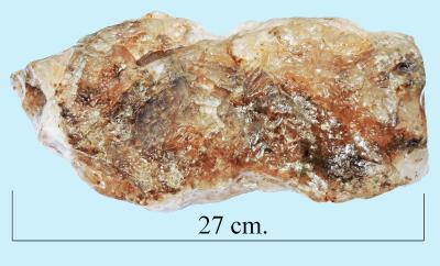 Halite, Rock salt. Cheshire. Bill Bagley Rocks and Minerals